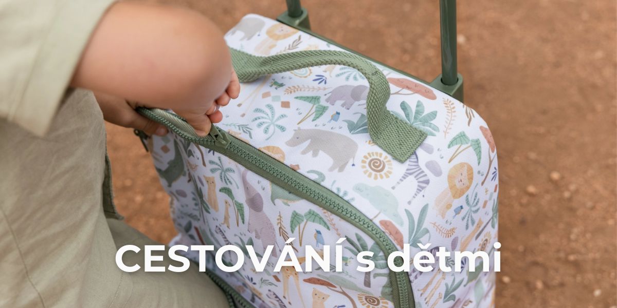 Cestování
